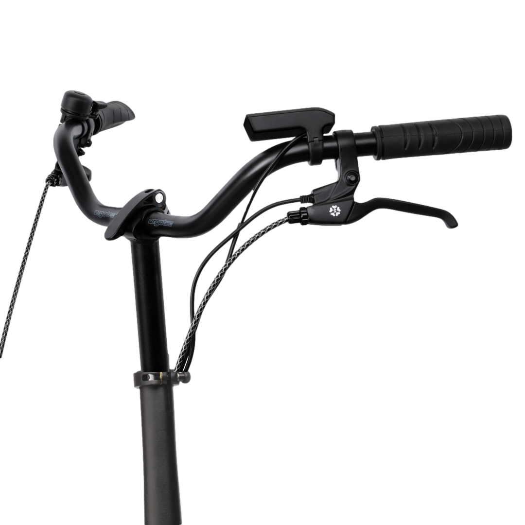 Relaxed: ERGOTEC CityCruiser